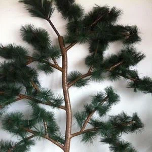 Pine lehtien salaaminen Tree Towers