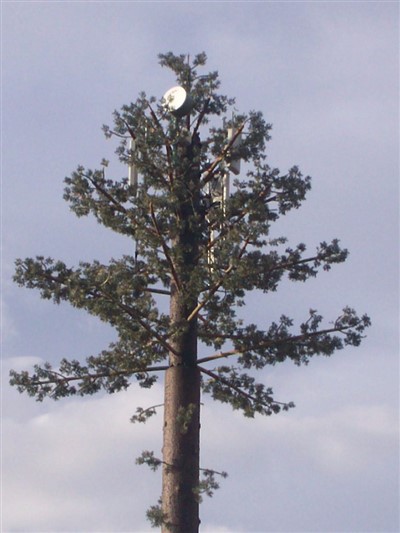 Naamioitu Telecom Pine Tree Monopole Tower